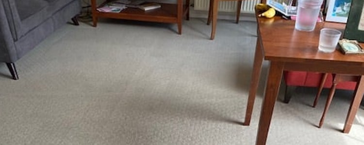 Best Carpet Cleaning Service
