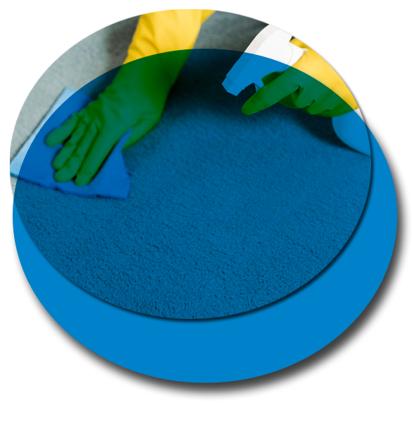 Best Carpet Cleaning Sydney