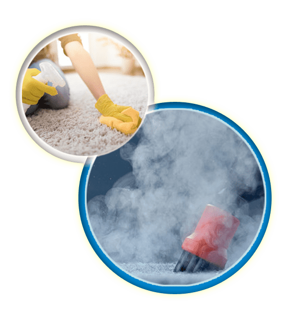 Carpet Cleaning Brisbane