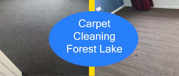 Carpet Cleaning Forest Lake