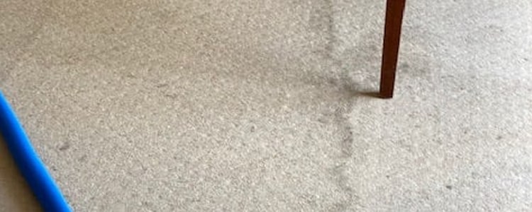 Carpet Cleaning Service