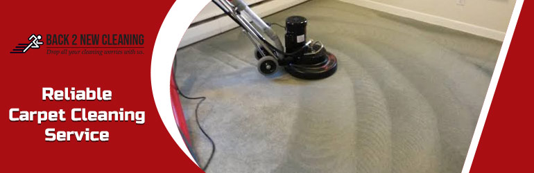 Carpet Cleaning Service