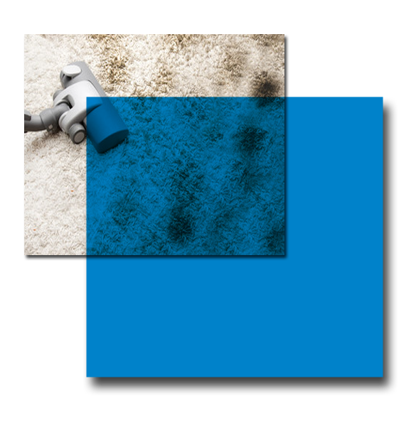 Carpet Cleaning Sydney