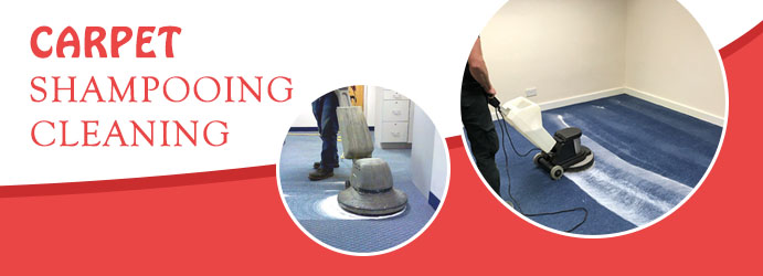Carpet Shampooing Cleaning Brisbane