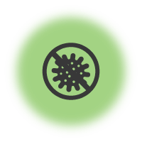 Germs free Carpet Service
