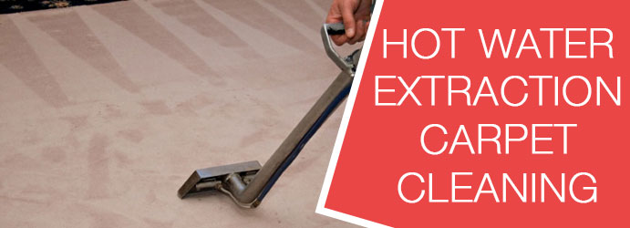 Hot Water Extraction Carpet Cleaning