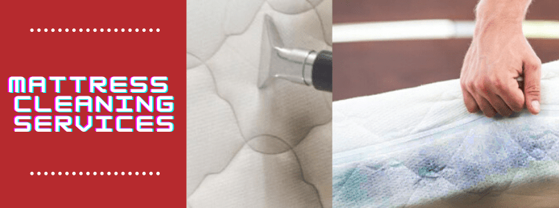 Mattress Cleaning Services in Redland Bay