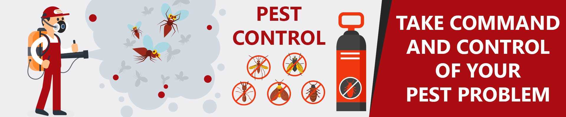 Pest Control Brisbane