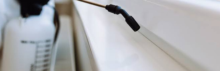 Pest Control Brisbane