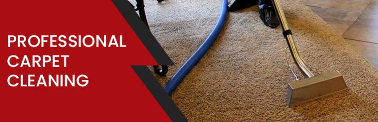 Professional Carpet Cleaning