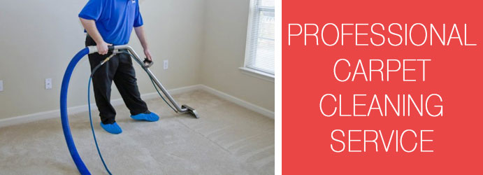 Professional Carpet Cleaning Service
