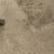 5 Easy Steps to Remove Mould from Carpets