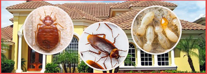 Residential Pest Control