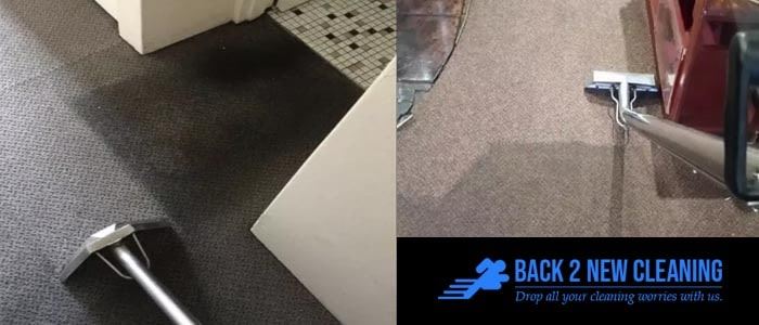 Same-Day And Affordable Carpet Cleaning Services