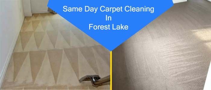 Same day Carpet Cleaning Service in In Forest Lake
