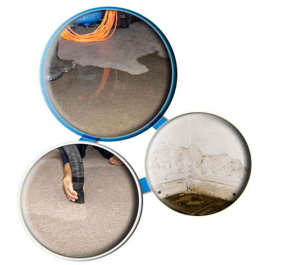 Water Damage Restoration Brisbane